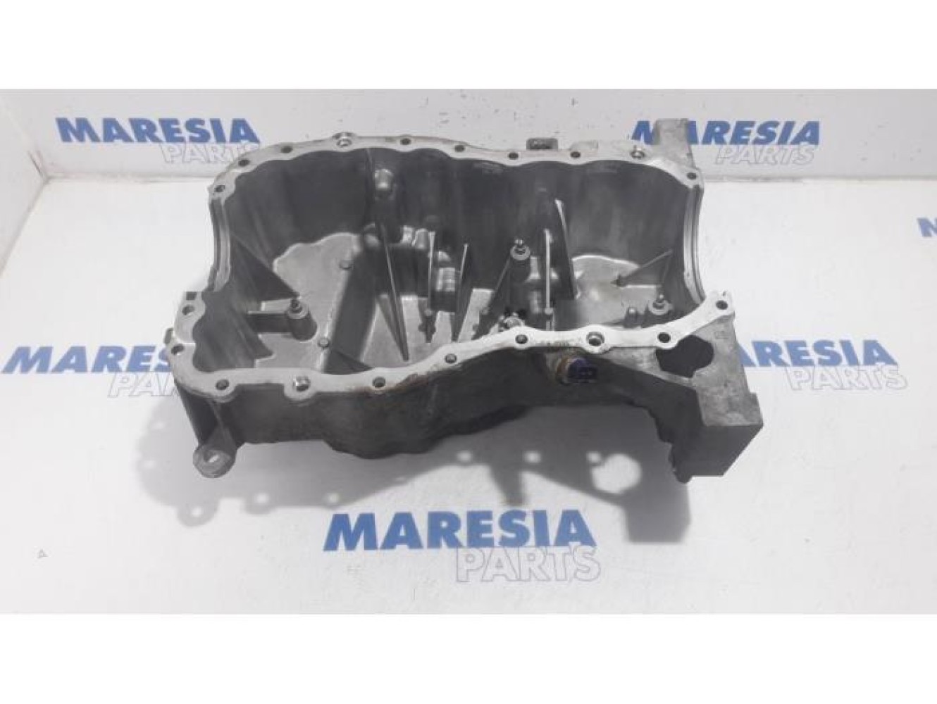 Renault - Megane Scenic - Carterpan