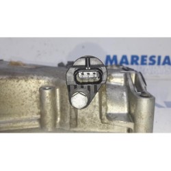 Fiat - Panda - Timing cover