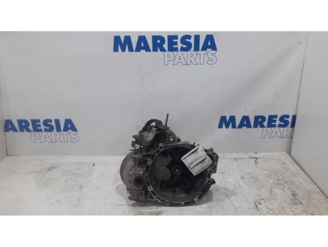 Citroen - Jumpy - Getriebe