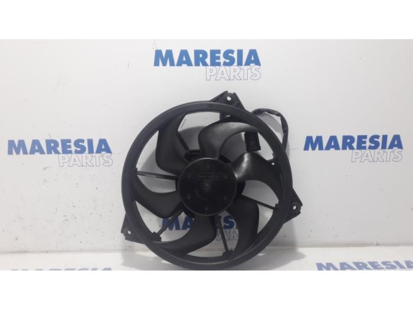 Citroen - Jumpy - Koelvin Motor