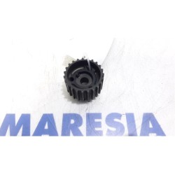 Fiat - Panda - Crankshaft sprocket