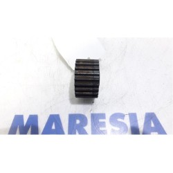 Fiat - Panda - Crankshaft sprocket