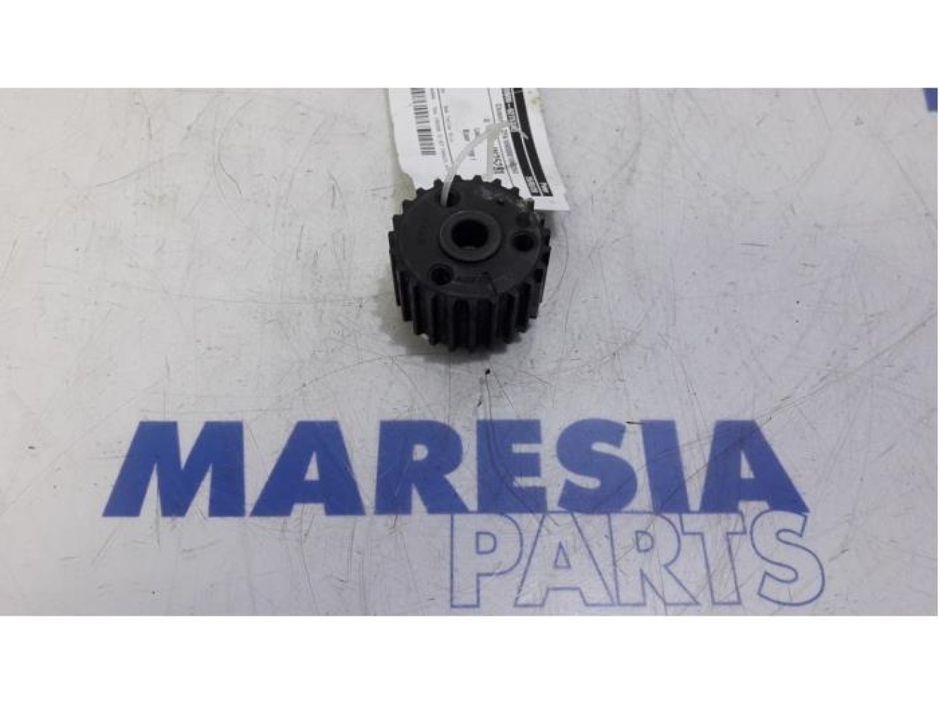Fiat - Panda - Crankshaft sprocket