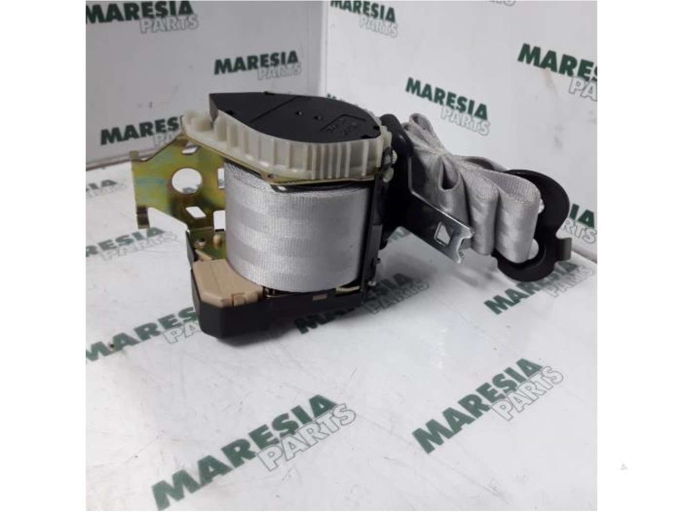 Renault - Clio - Sicherheitsgurt links hinten