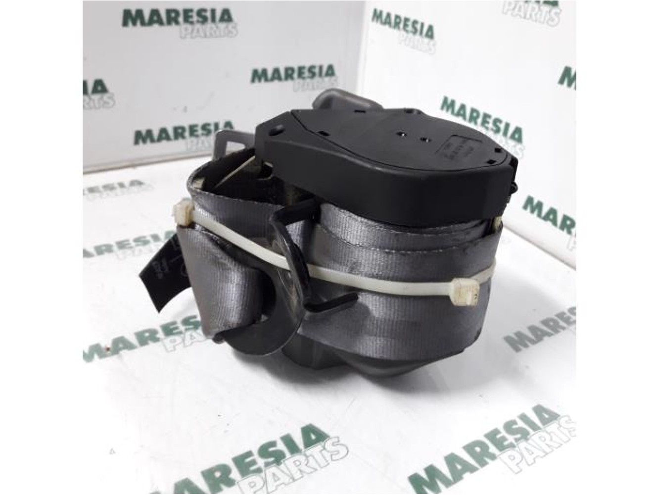 Renault - Clio - Sicherheitsgurt links hinten