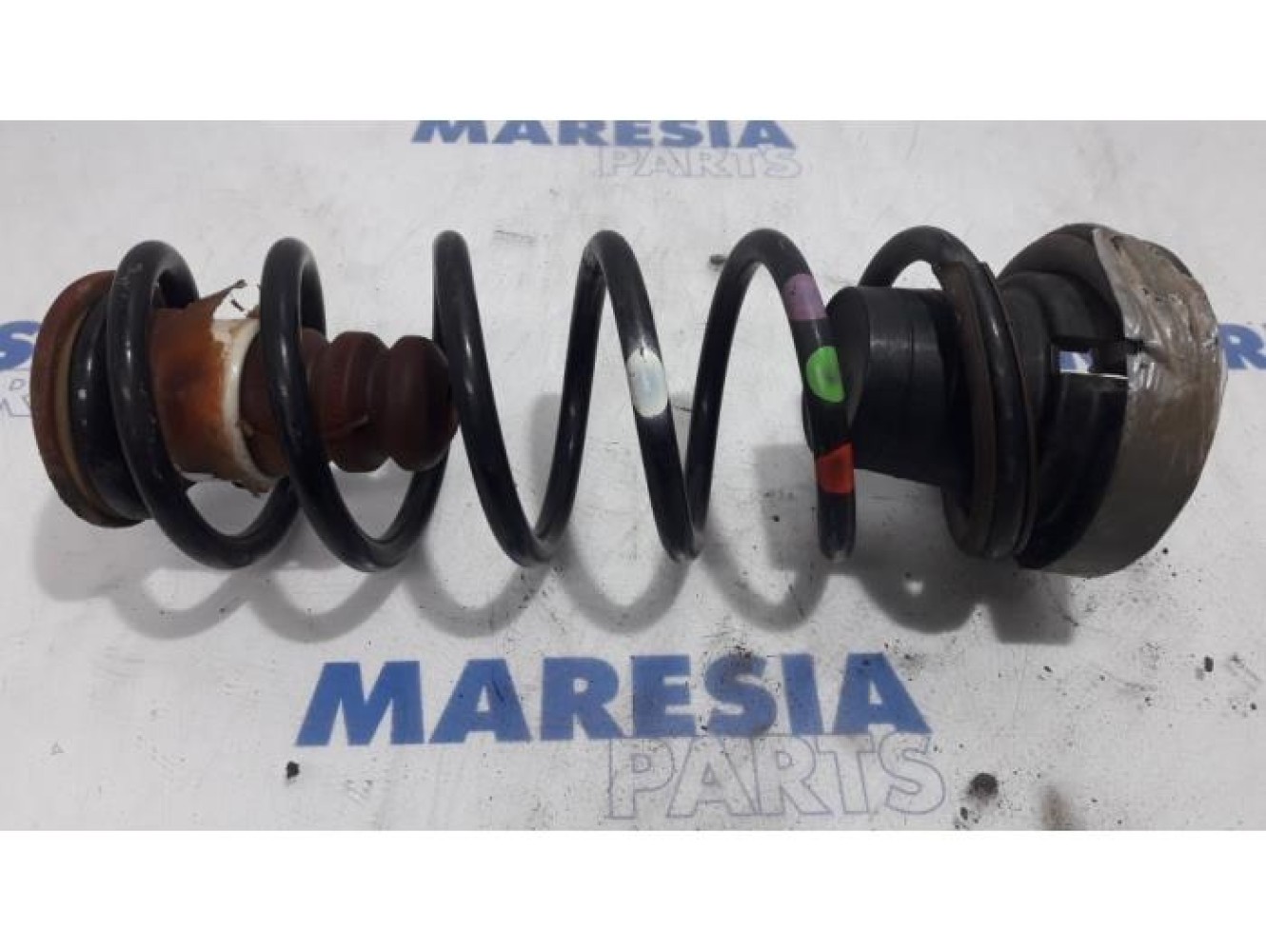 Citroen - Berlingo - Rear coil spring