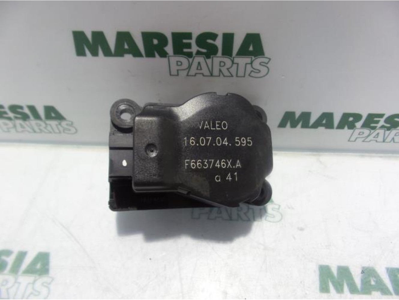 Renault - Megane - Kachelklep Motor