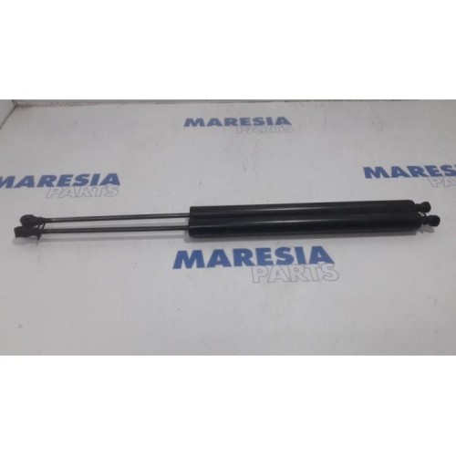 Citroen - Berlingo - Set of tailgate gas struts