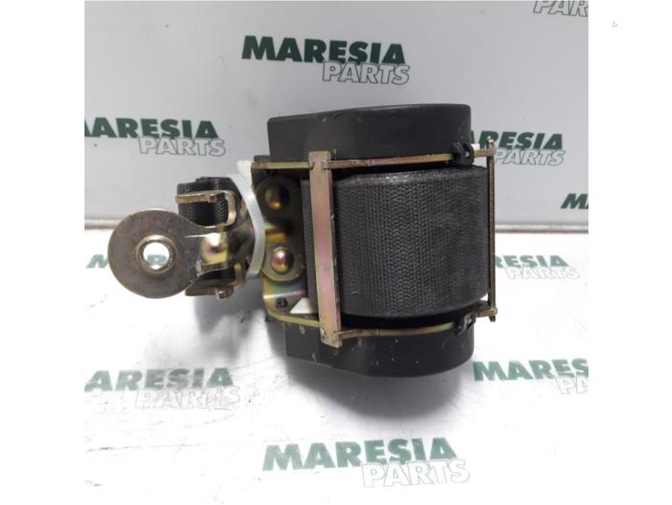 Renault - Megane Scenic - Sicherheitsgurt links vorne