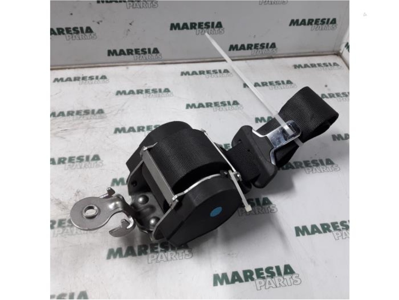 Renault - Megane Scenic - Sicherheitsgurt links vorne