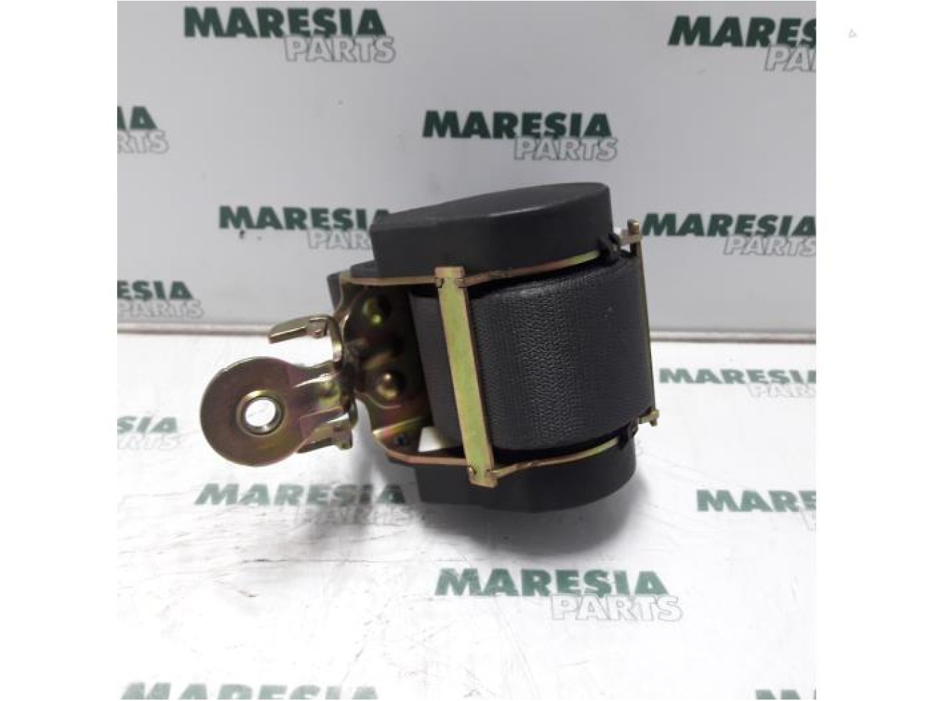 Renault - Megane Scenic - Front seatbelt, left