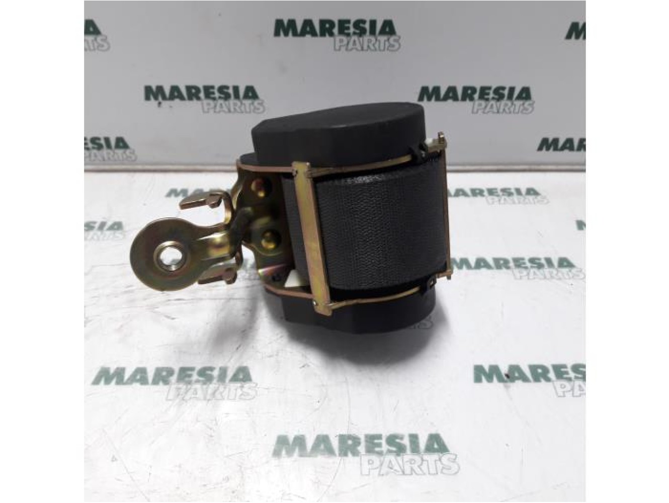 Renault - Megane Scenic - Sicherheitsgurt links vorne