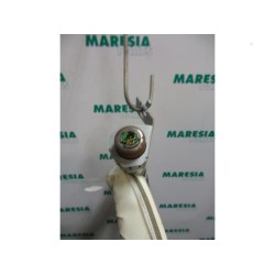 Renault - Megane - Airbag hemel links
