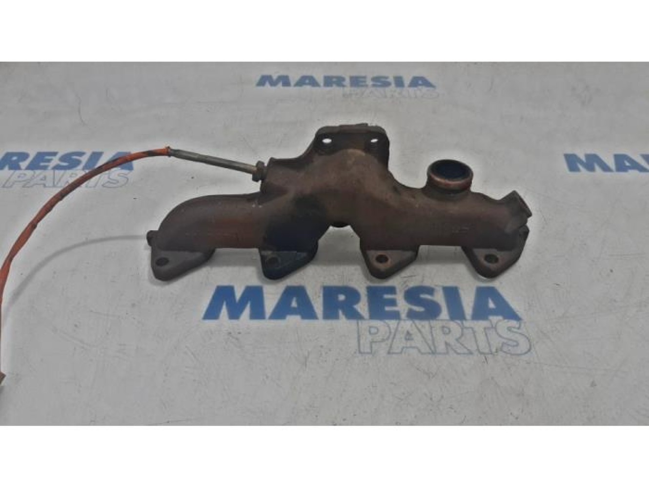 Renault - Scenic - Exhaust manifold