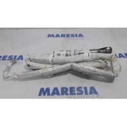 Renault - Scenic - Airbag hemel links