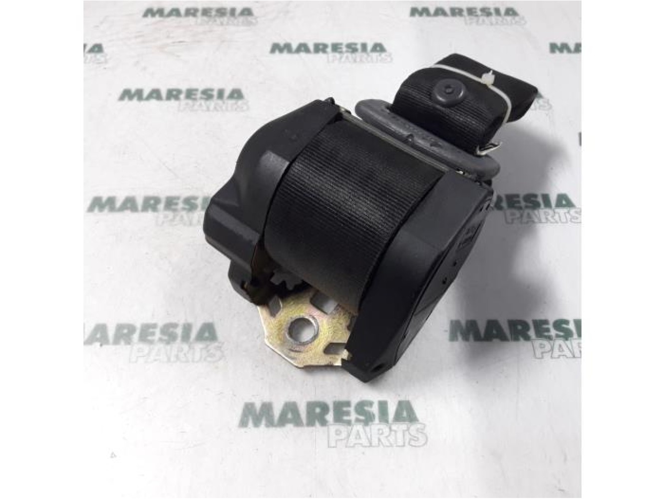 Fiat - Palio - Sicherheitsgurt links hinten