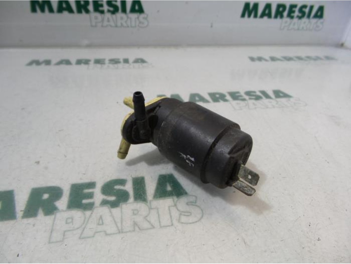 Fiat - Palio - Scheibensprüherpumpe vorne