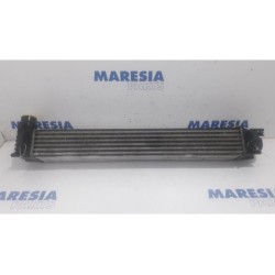 Renault - Megane - Intercooler