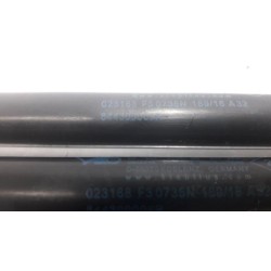 Renault - Megane - Set of tailgate gas struts