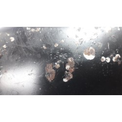 Opel - Combo - Sump