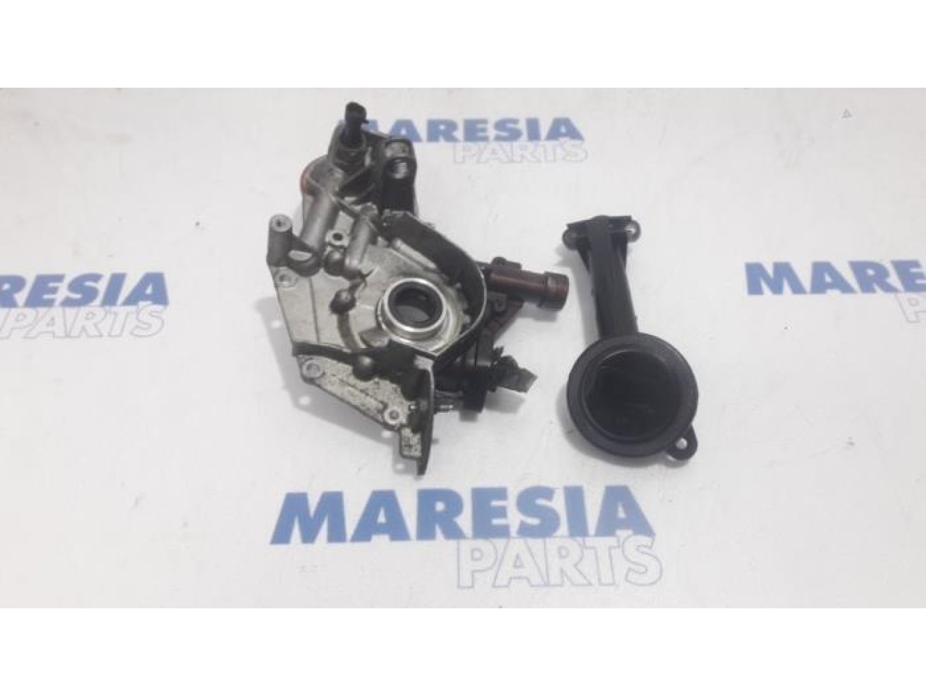 Fiat - Doblo - Oil pump