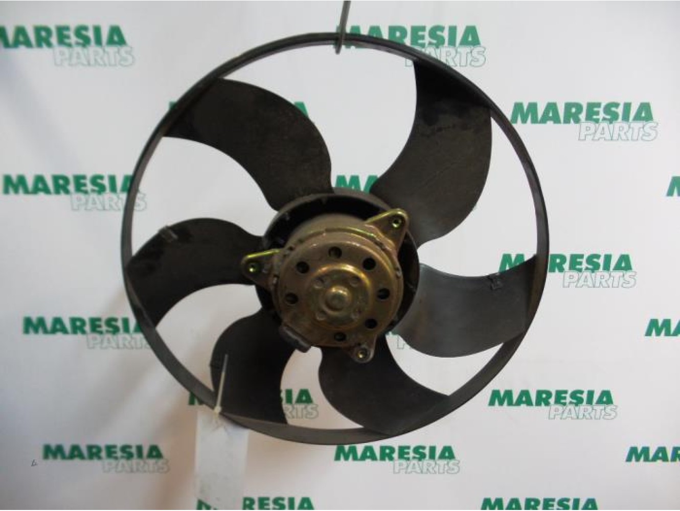 Renault - Megane Scenic - Kühlgebläse Motor