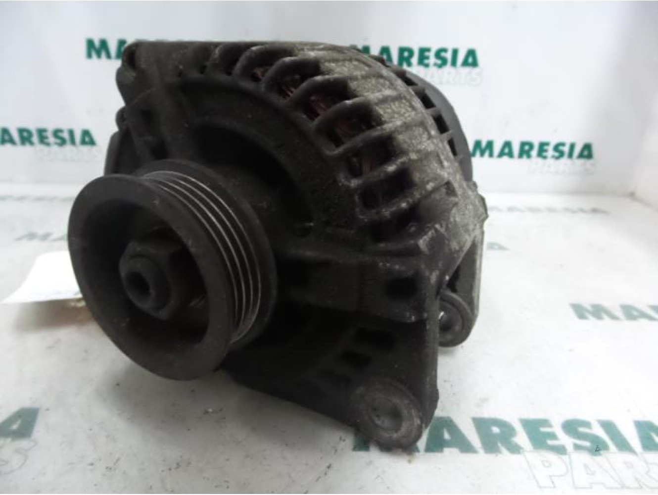 Fiat - Stilo - Dynamo