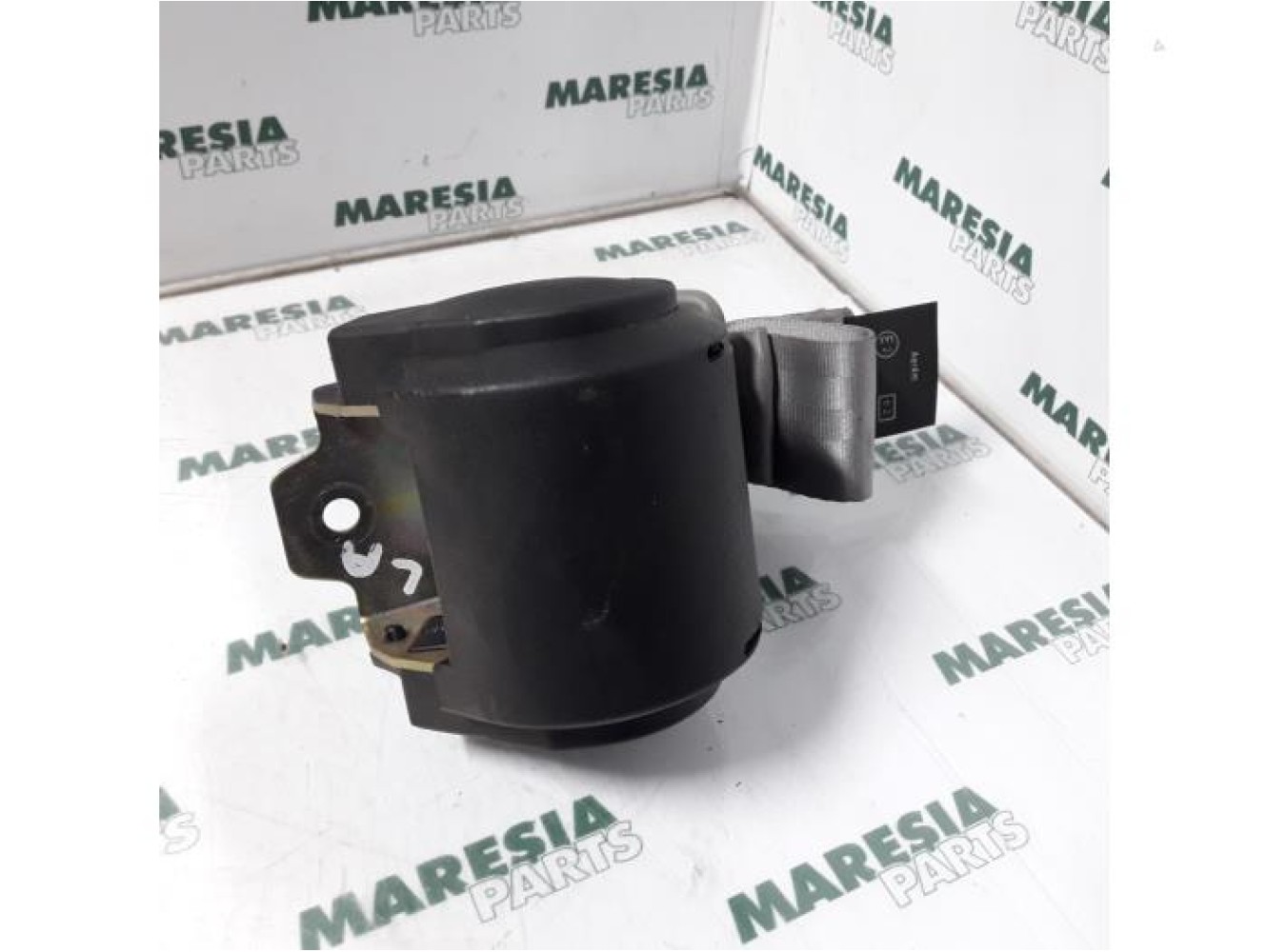 Renault - Twingo - Sicherheitsgurt links hinten