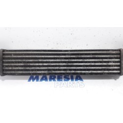 Fiat - Punto Evo - Intercooler