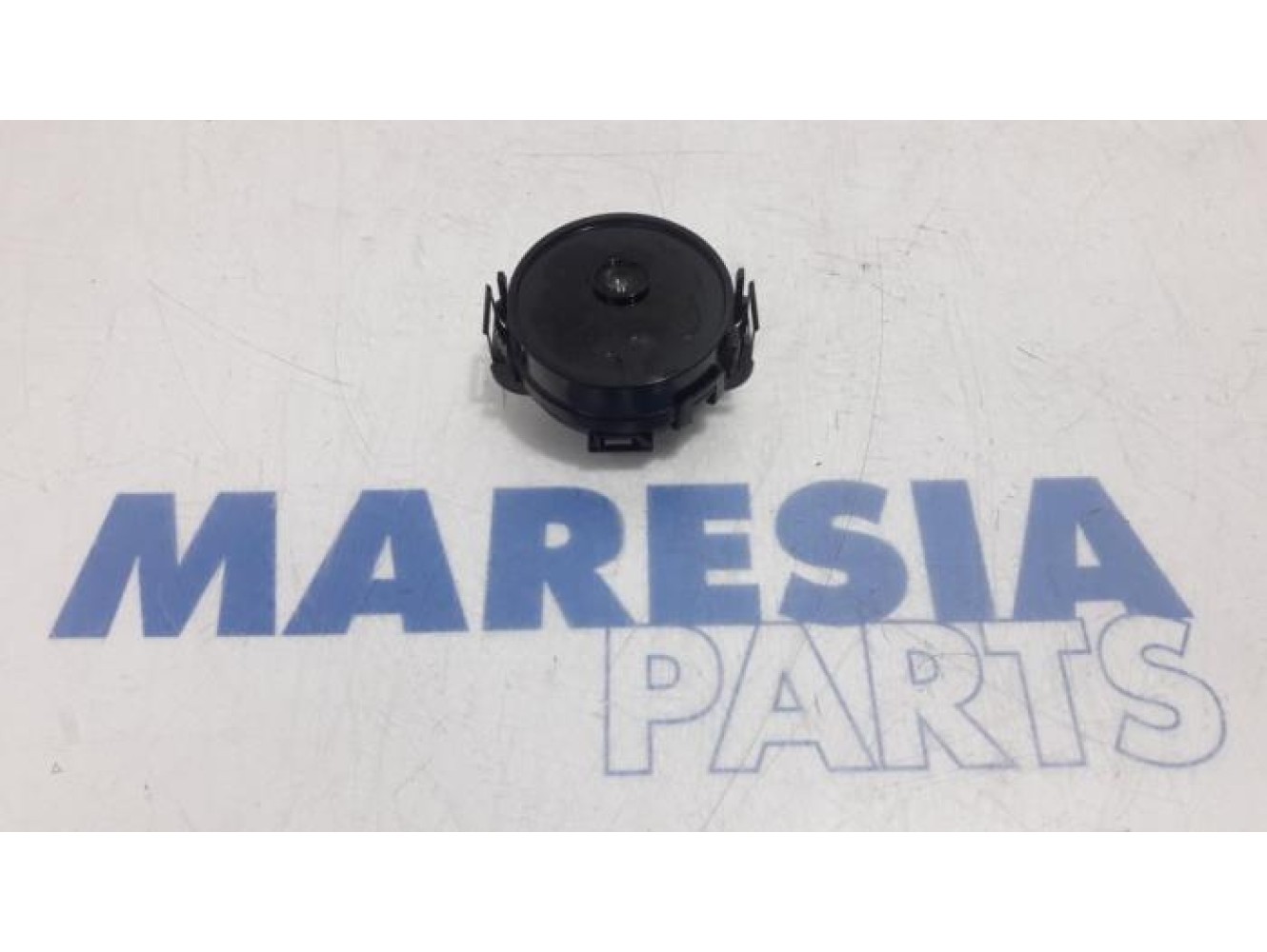 Renault - Scenic - Rain sensor