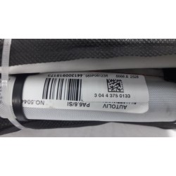 Renault - Scenic - Airbag Himmel rechts