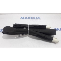 Renault - Scenic - Airbag hemel links