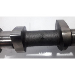 Renault - Scenic - Nockenwelle