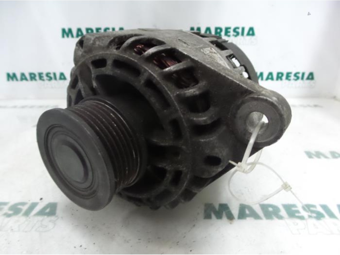 Fiat - Croma - Dynamo