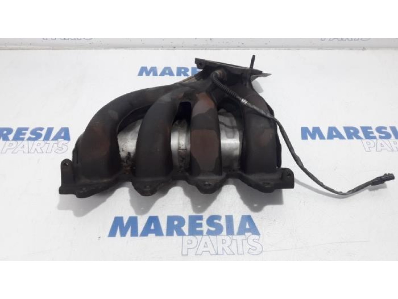 Renault - Trafic - Abgaskrümmer