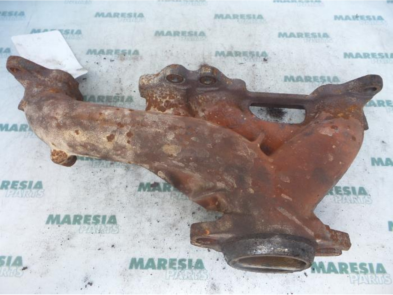 Citroen - Xantia - Exhaust manifold