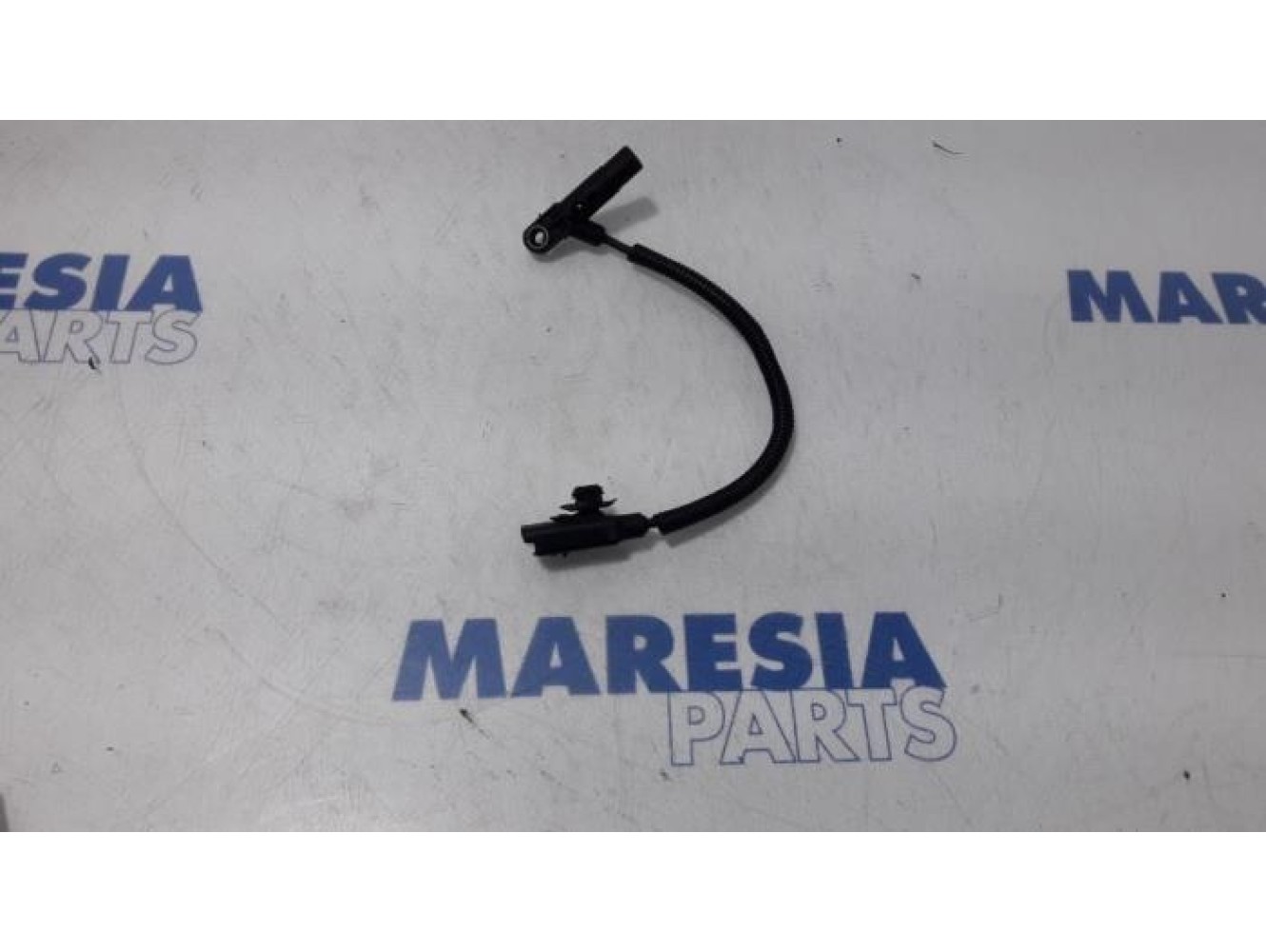 Citroen - Berlingo - Nockenwelle Sensor