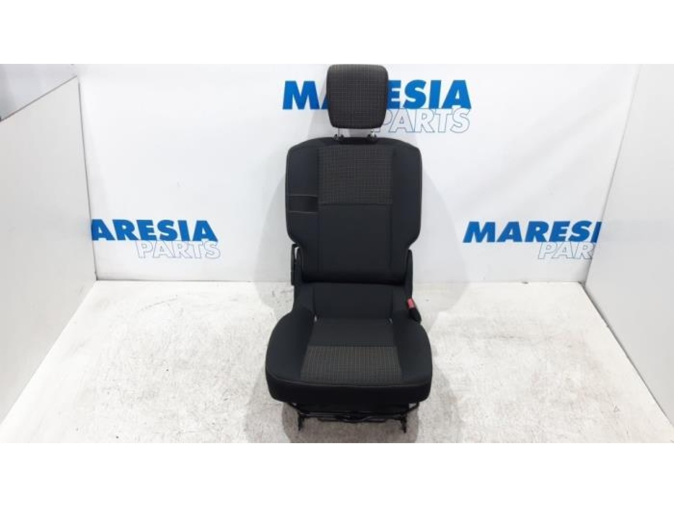 Renault - Scenic - Rear seat