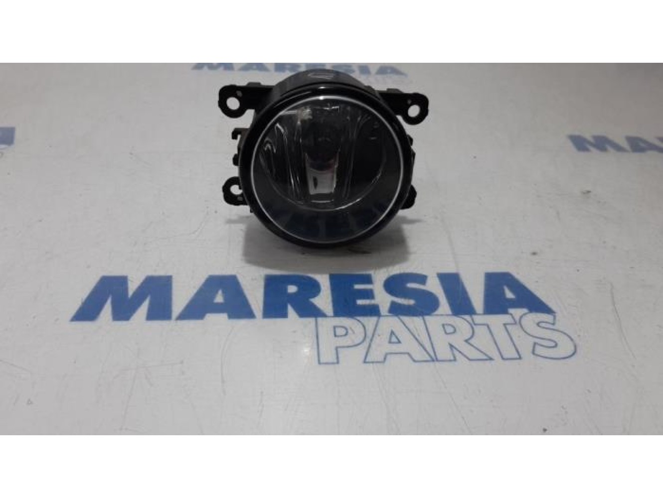 Renault - Scenic - Fog light, front left