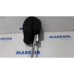 Renault - Scenic - Headrest