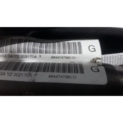 Citroen - C6 - Airbag hemel links