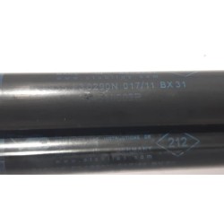 Renault - Megane - Set Gasdämpfer Heckklappe