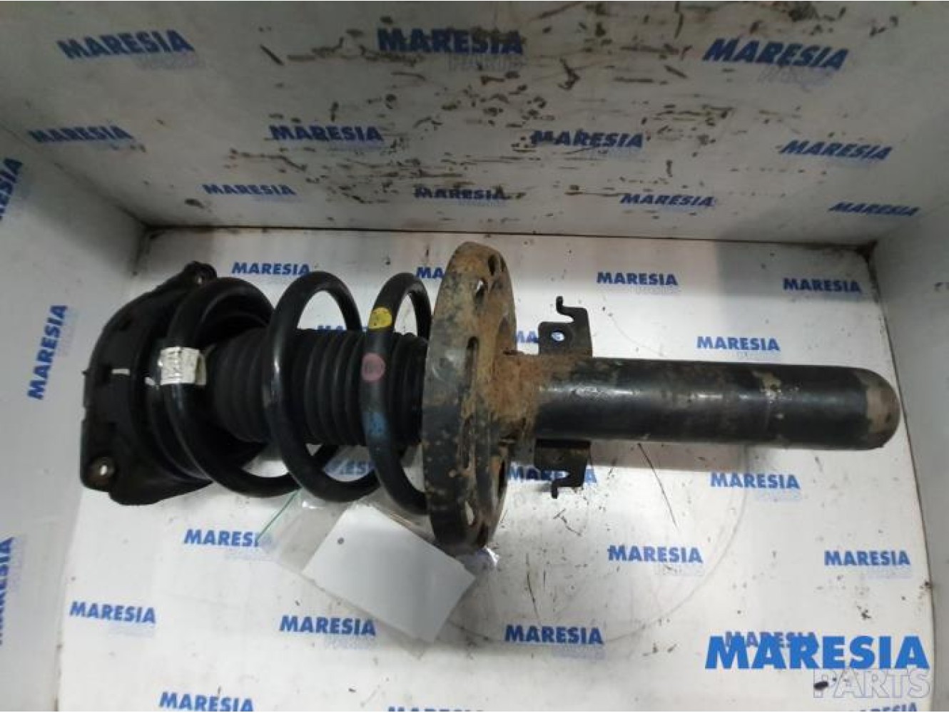 Renault - Megane - Front shock absorber rod, left