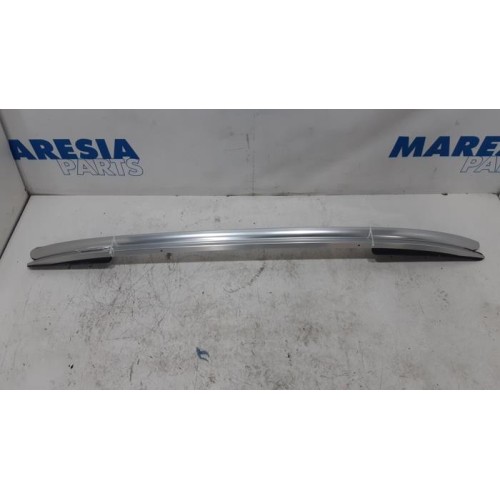 Renault - Clio - Dachreling Set