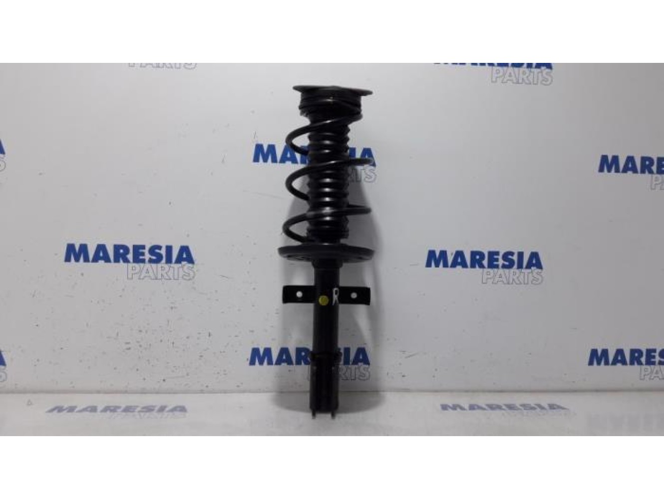 Renault - Clio - Front shock absorber rod, right