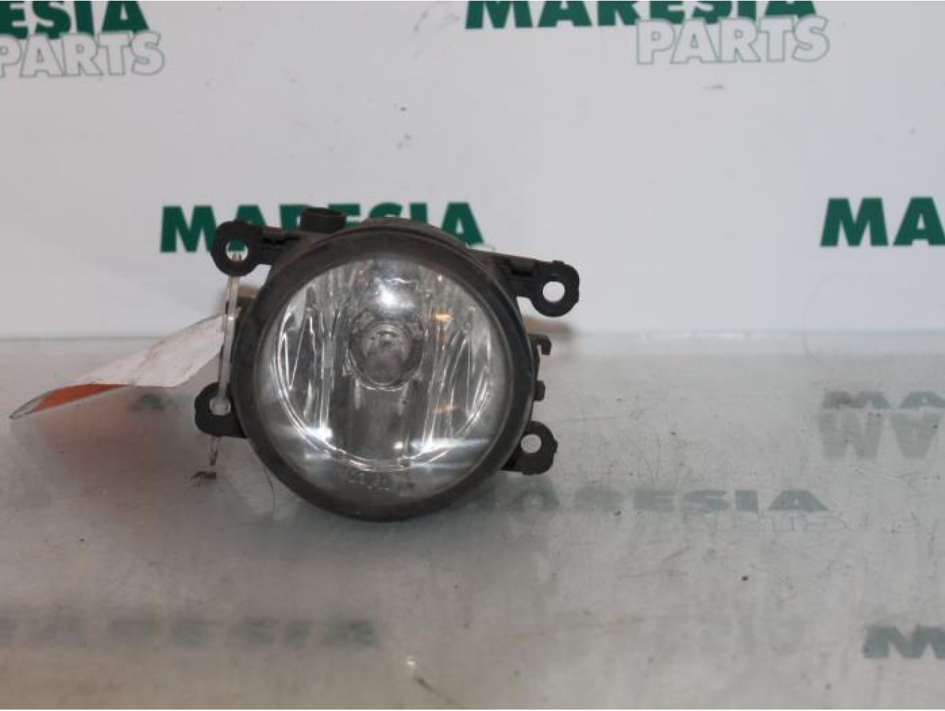 Renault - Megane Scenic - Fog light, front left