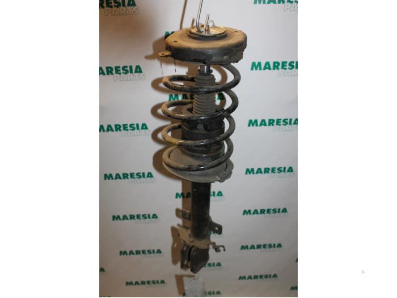 Renault - Megane Scenic - Front shock absorber rod, left