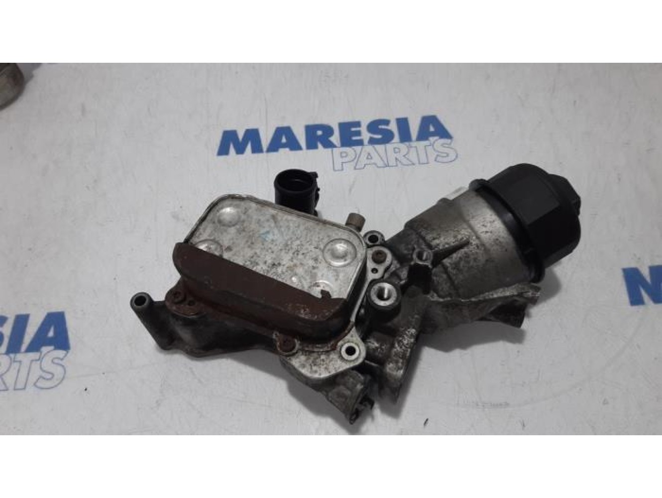 Fiat - Punto - Oil filter holder