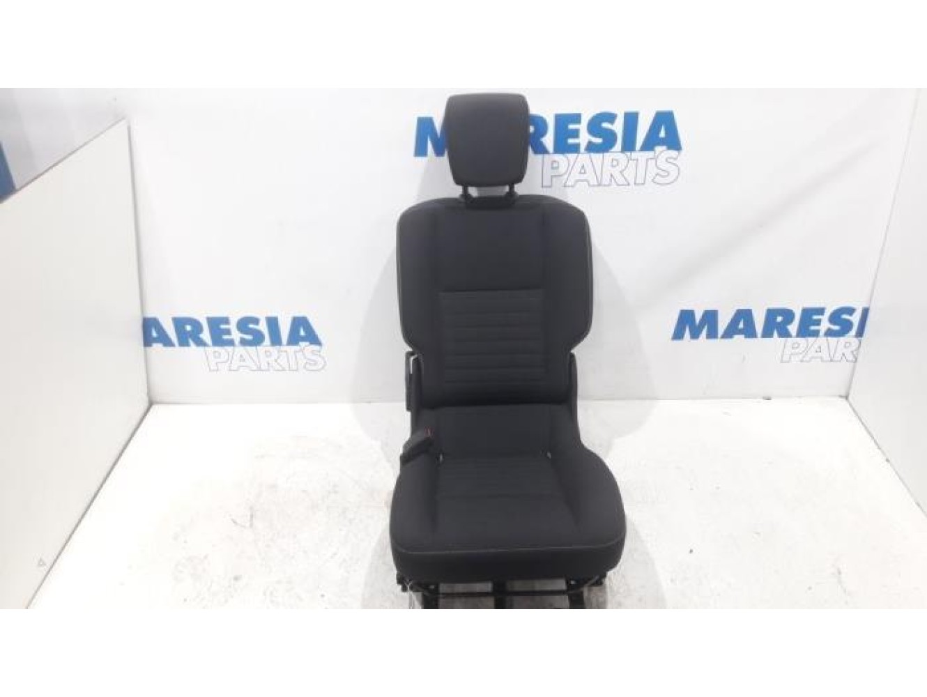 Renault - Scenic - Sitz hinten