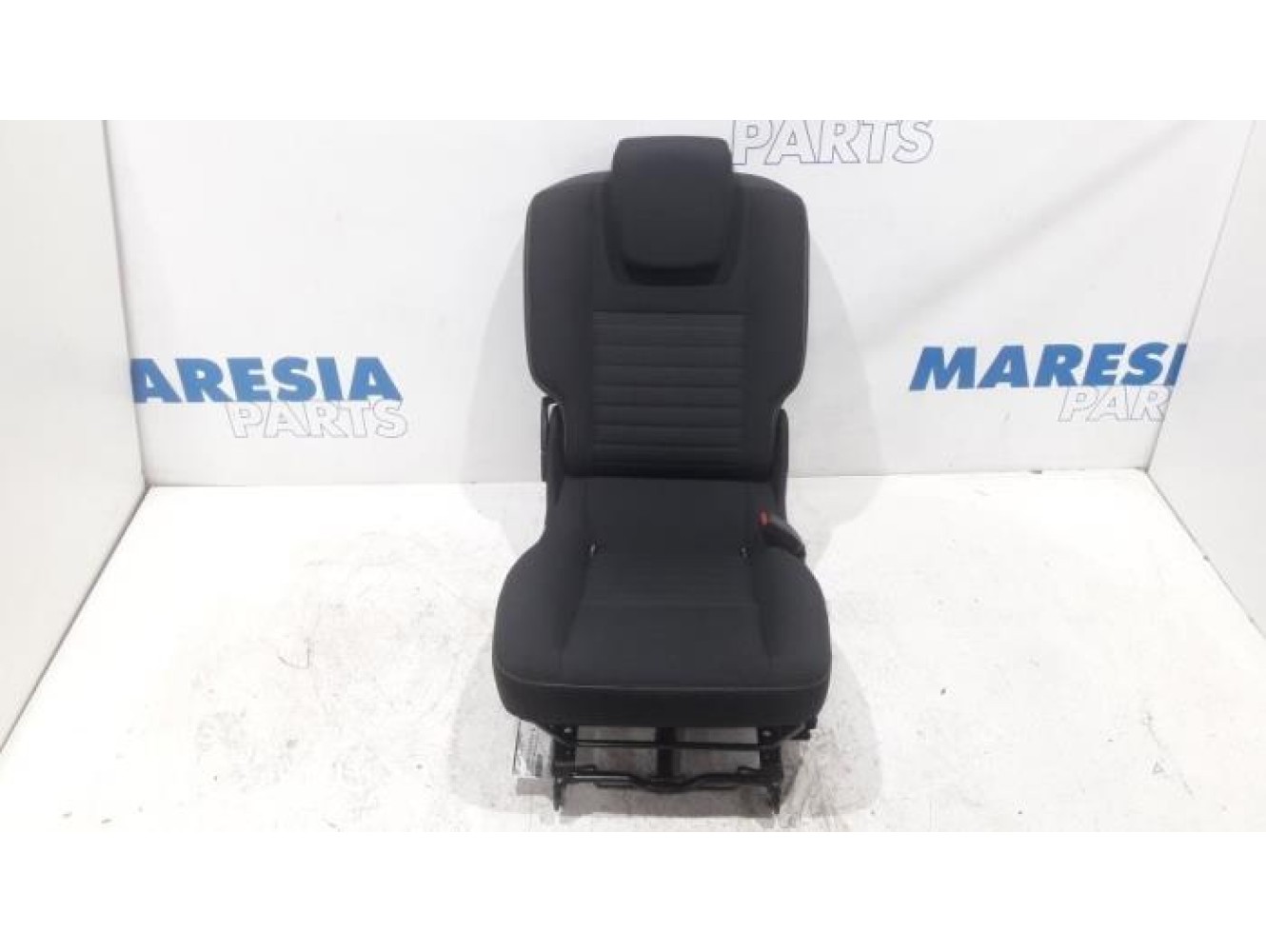 Renault - Scenic - Sitz hinten